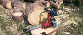 Chainsaw Friendship in the workplace