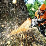 how to cut with a chainsaw correctly