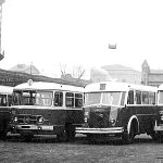 The rolling stock in Polish cities before the time of Karosa buses was characterized by diversity - the Star 52, San X 01, Mavag and Ikarus buses are shown here