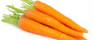 Приспособление для посадки моркови