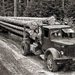 Серийный МАЗ-501 ранних партий с прицепом-роспуском 2-Р-15 Тавдинского механического завода на своей традиционной работе – вывозе древесины. 1956 г.