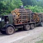 Транспортировка древесины автомобилем КАМАЗ-4310